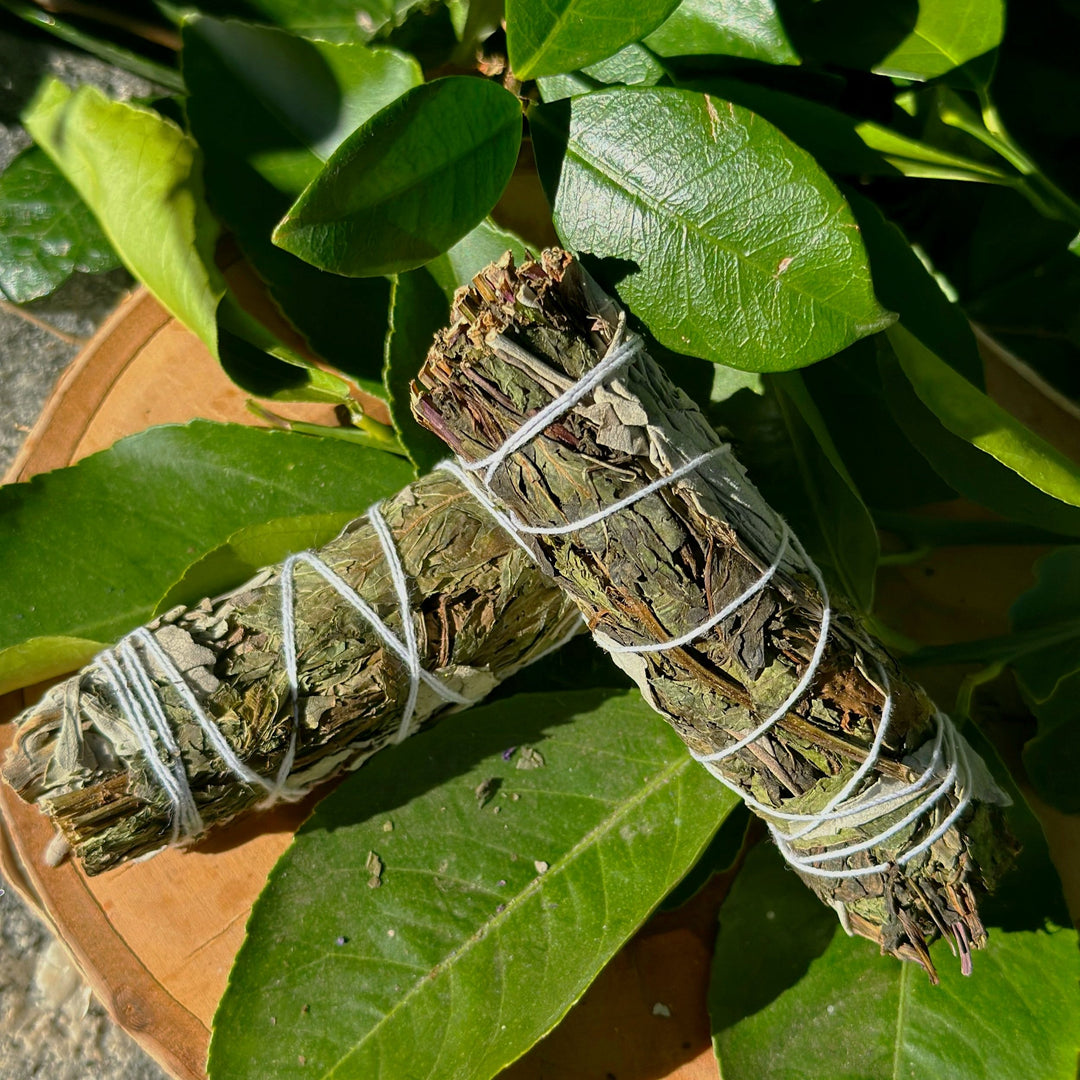 Peppermint Holiday Sage